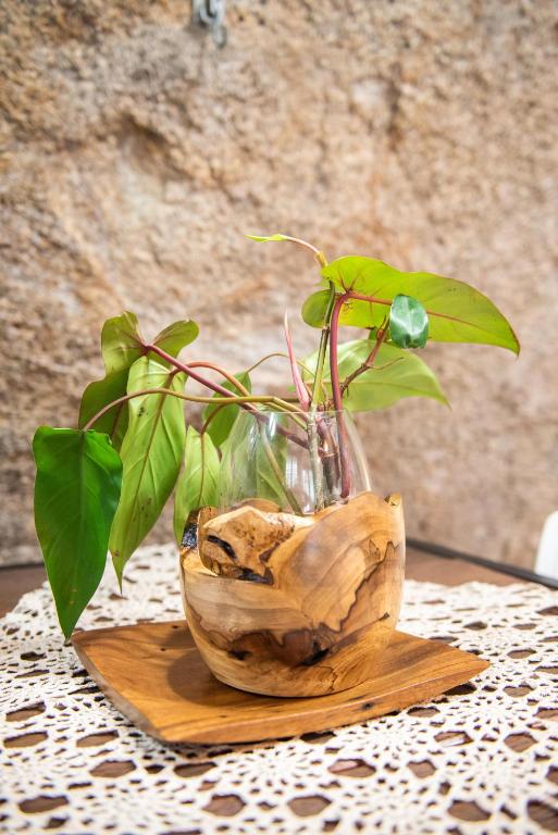  Casa da Pedra Floripa