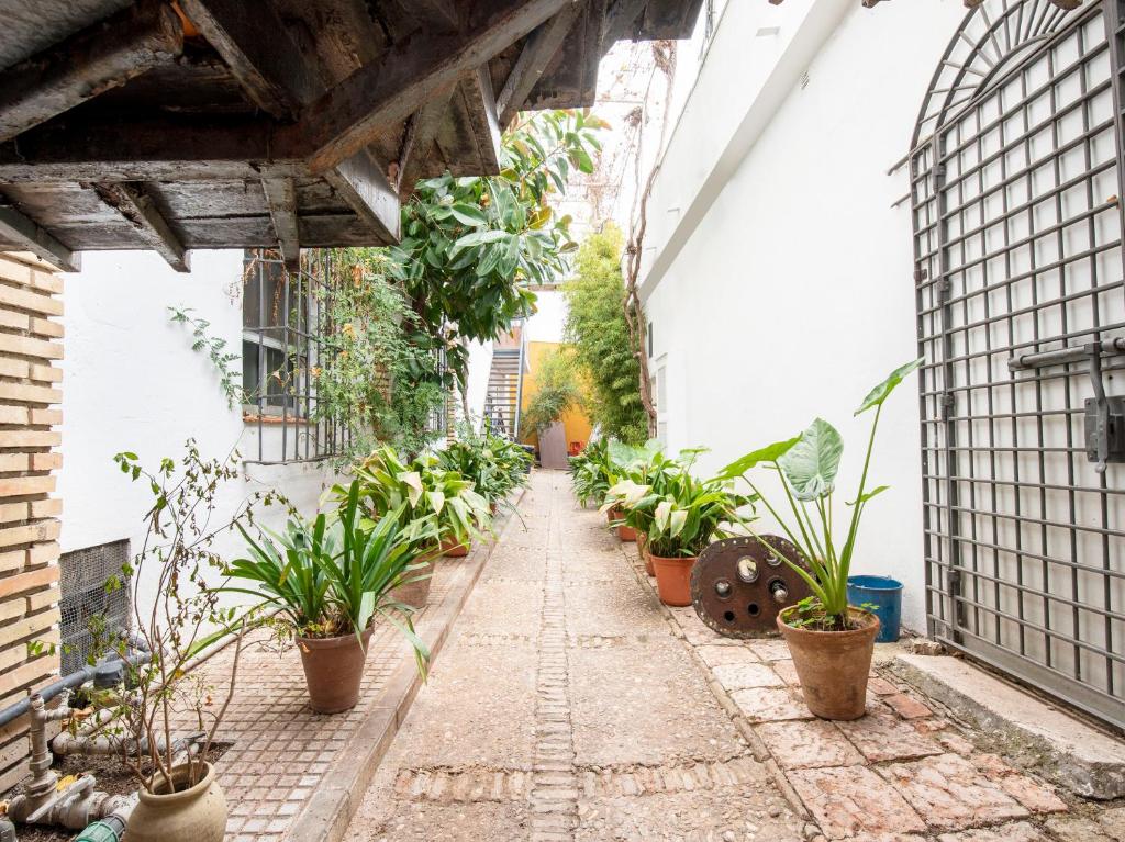 an alley with potted plants in a building at Hostal Santiago in Écija