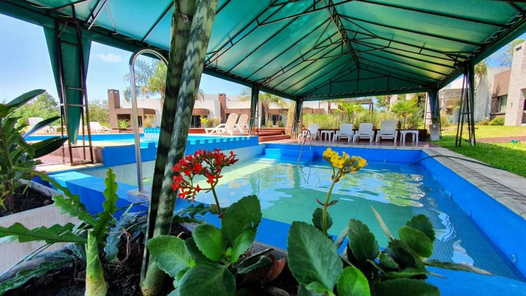 a swimming pool in a house with a blue roof at Amanzi Termal Rental in Concordia