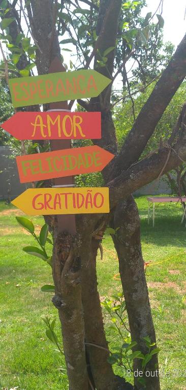  Villa Flor e Cor