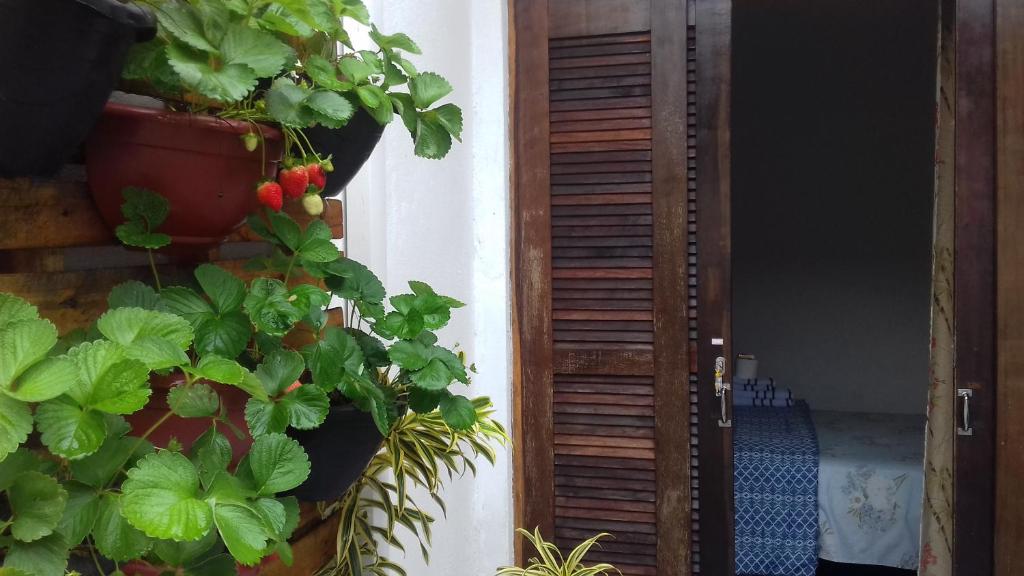  SUÍTES DOS MORANGOS