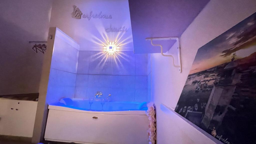Koupelna v ubytování ManfredoniaJacuzzi