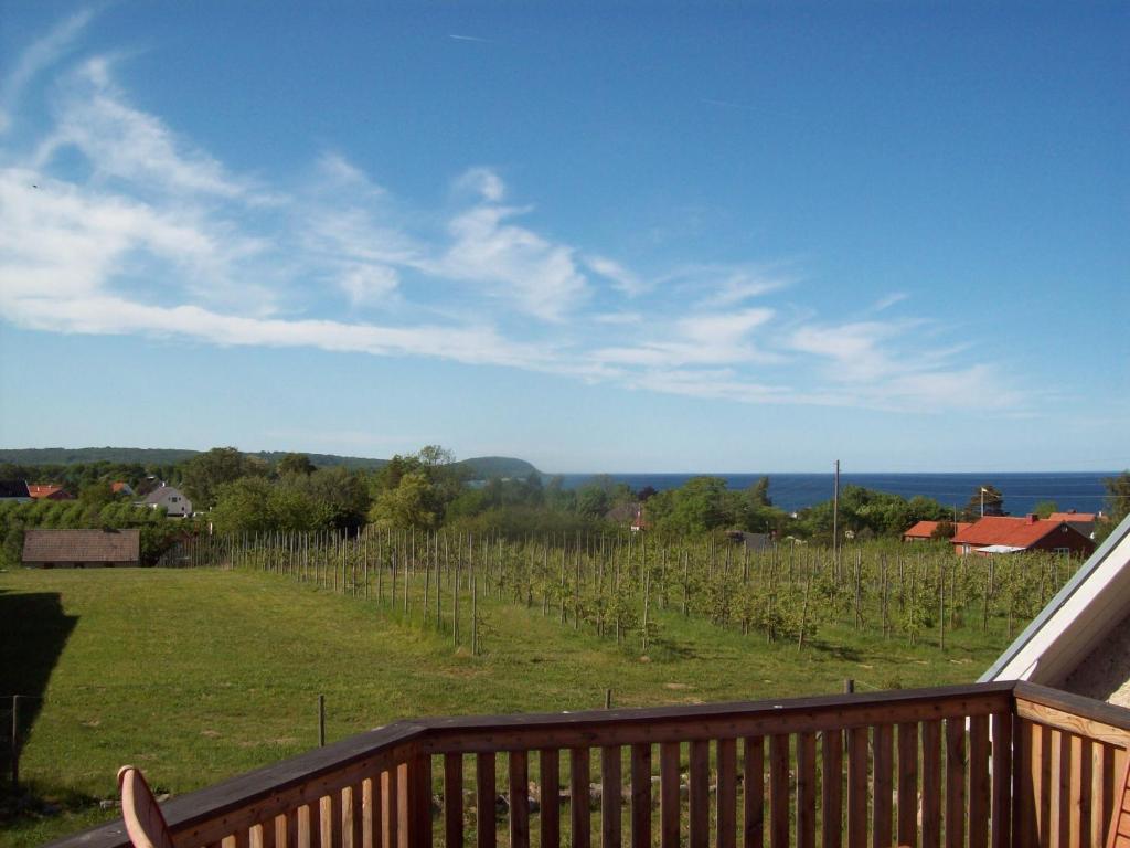 a balcony with a view of a field of vines at Carlssons på Vik in Simrishamn