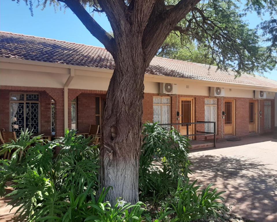 un edificio con un árbol delante de él en Acacia Gastehuis, en Kathu