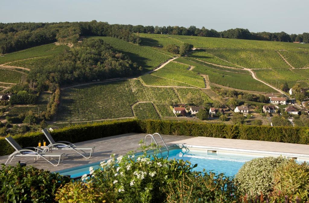 una piscina con vistas a un viñedo en Le Panoramic en Sancerre