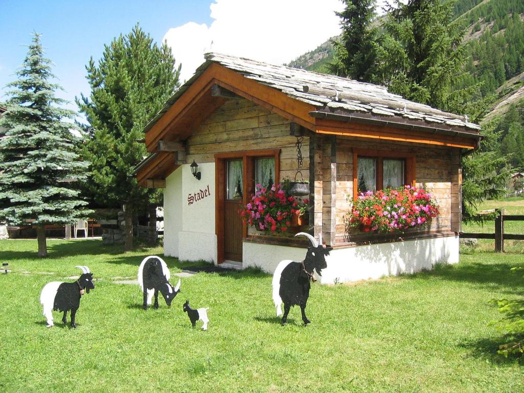 a group of goats standing in front of a cabin at Chalet Häuschen Stadel by Interhome in Saas-Fee