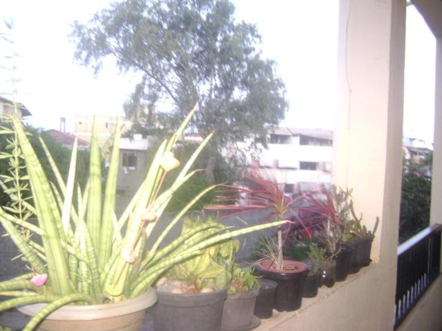  BELA ORLA APARTAMENTOS 2 QUARTOS em CONDOMÍNIO COM PISCINA