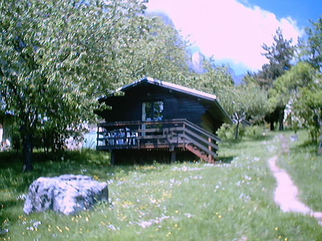 a log cabin in a field with a tree at Chalets du Vieux Frêne in Saint-Hilaire