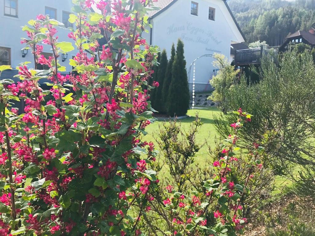 a garden with pink flowers in front of a house at Wohlfühlpension Kreischberg in Sankt Georgen ob Murau