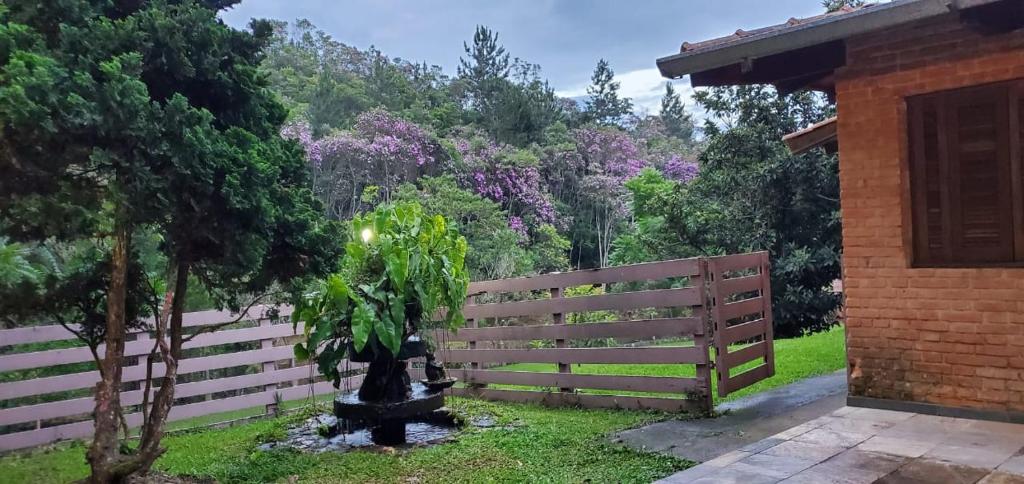  Sítio Banco Verde