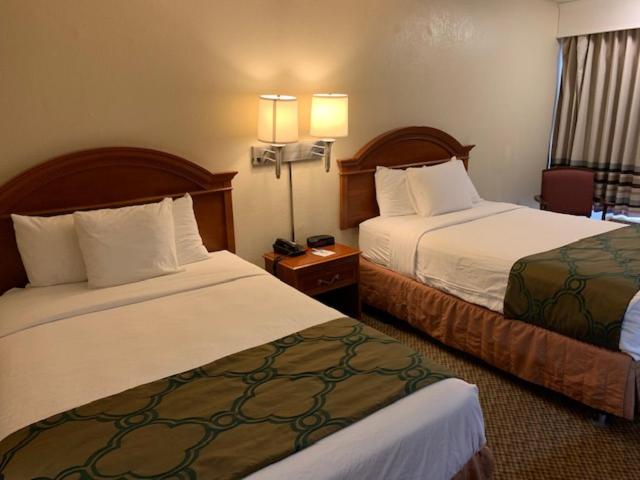 Days Inn by Wyndham Asheville West - Camera King Con Vista Montagna - Non Fumatori
