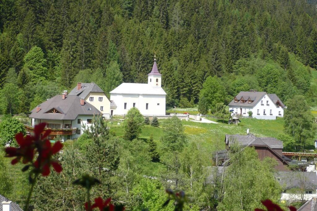 Příroda nedaleko apartmánu