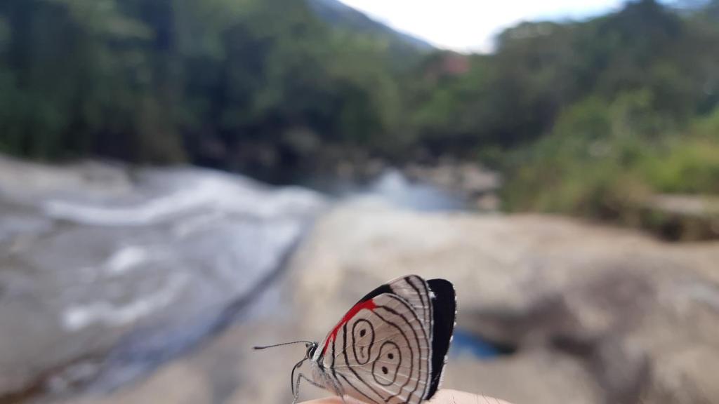  Pousada Gaia