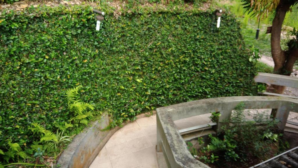  Studio em linda Área Preservada