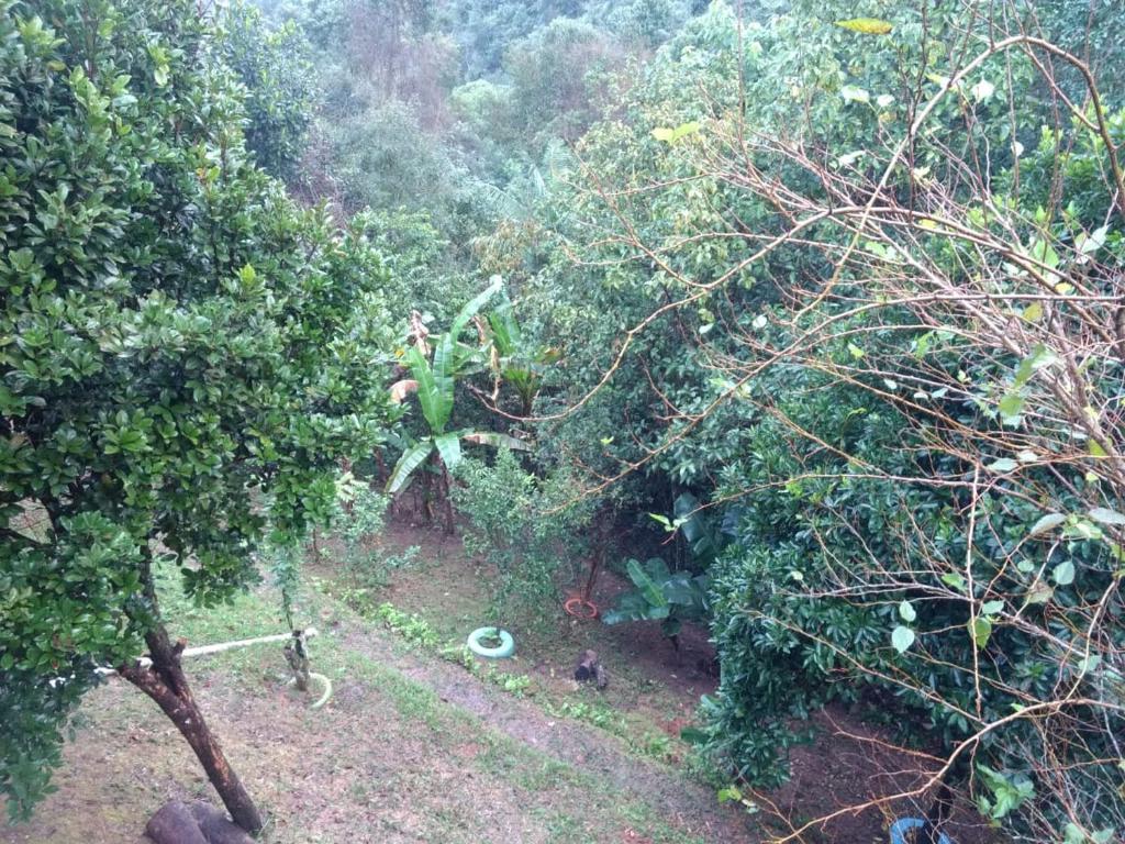  casa para temporada em Penedo