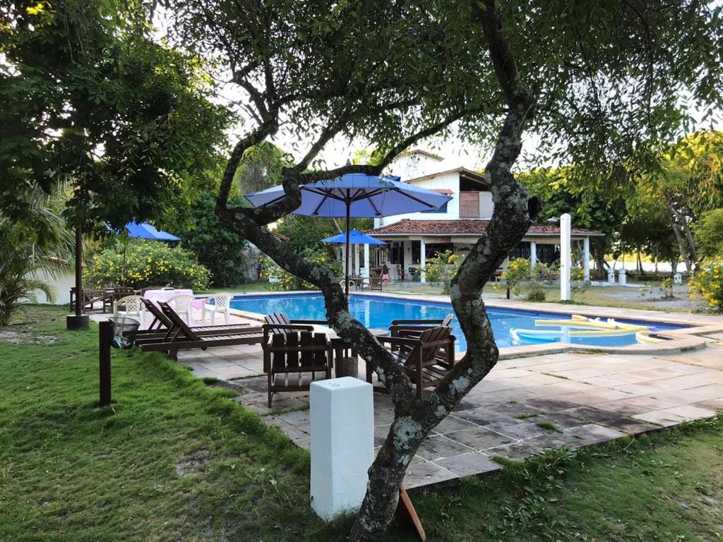 a tree with chairs and an umbrella next to a pool at Boipeba Paradise Guest House in Ilha de Boipeba