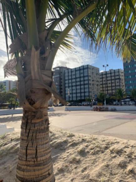  Apartamento beira mar Pajuçara