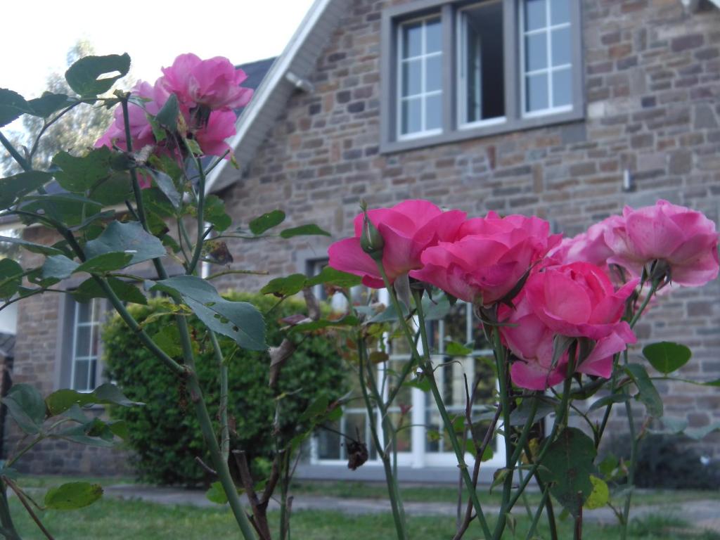 um grupo de rosas cor-de-rosa em frente a um edifício em Le Rimamir gîte de charme au bord de l’Amblève em Aywaille