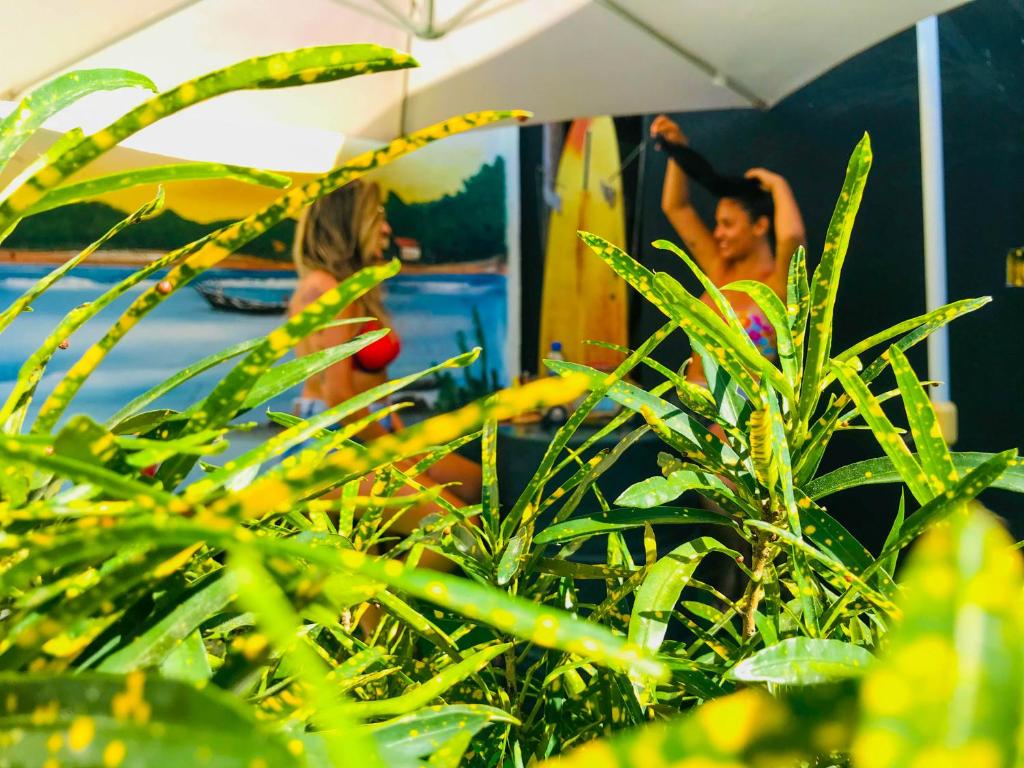  Maresias do Campeche Floripa HOSTEL