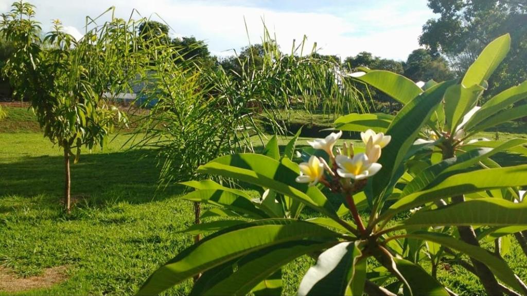  Aconchegante e Lindo - Rancho San Patrício
