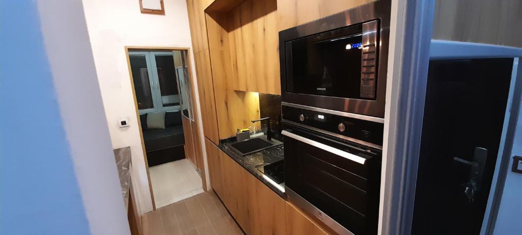 Kuchyň nebo kuchyňský kout v ubytování Apartment Nenov