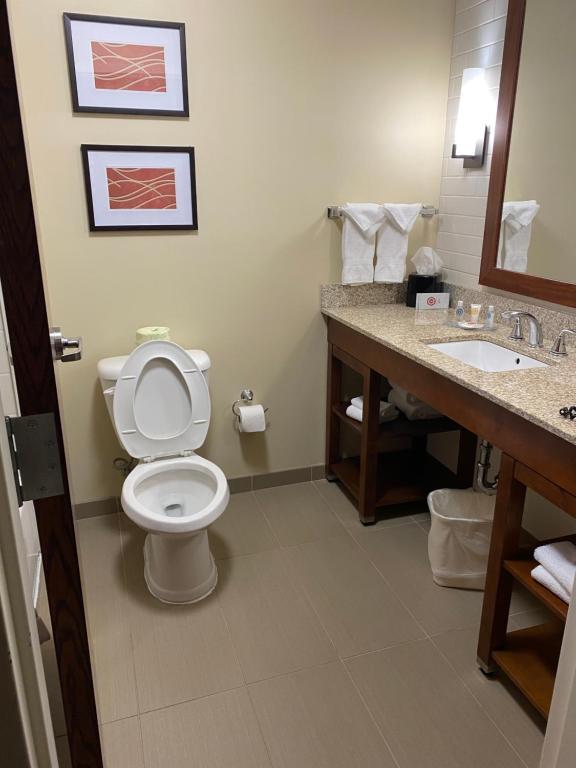 Koupelna v ubytování Comfort Inn & Suites