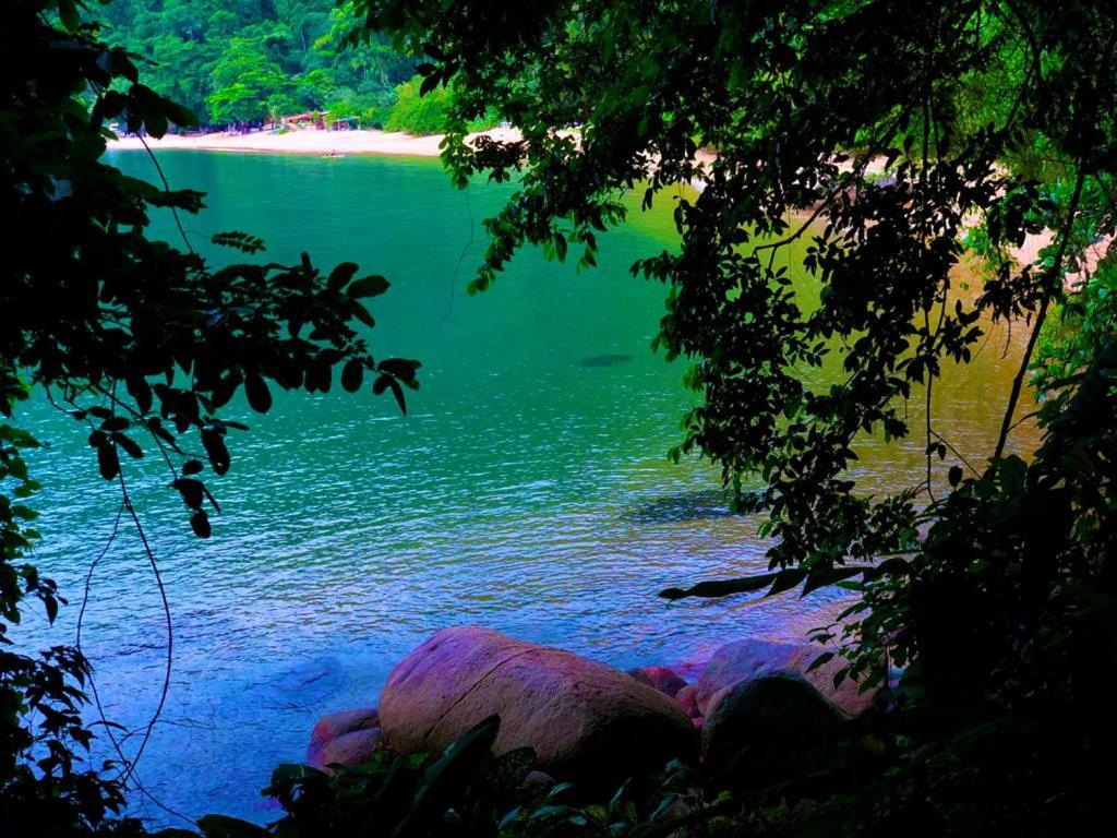  Happy Beach Camping
