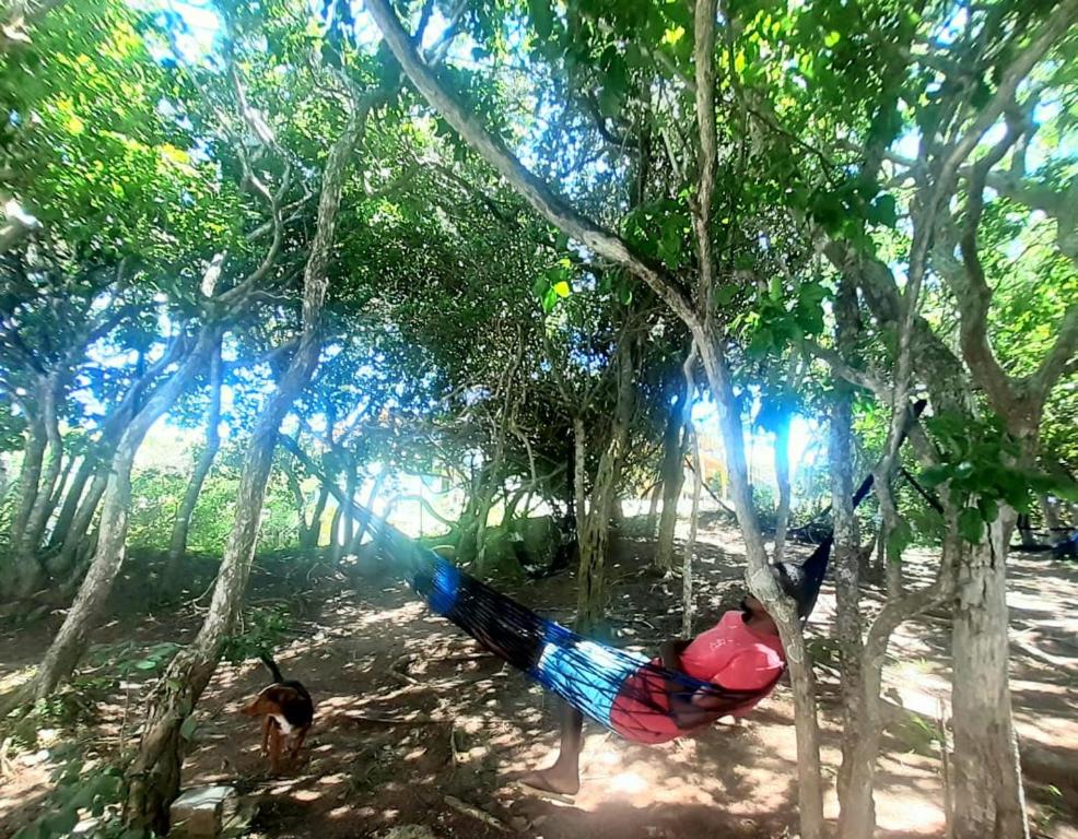  BOSQUES DOS SONHOS