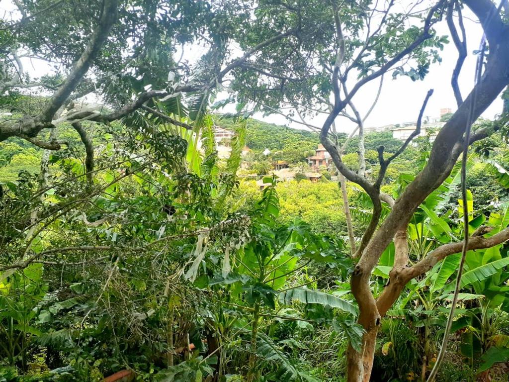  BOSQUES DOS SONHOS