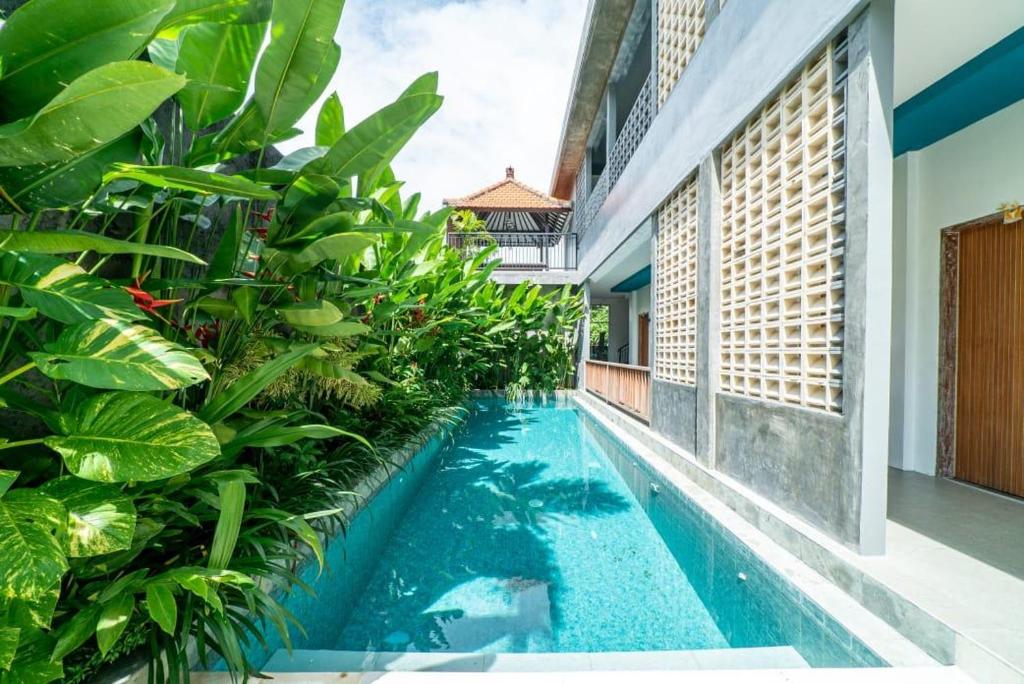 a swimming pool in the middle of a house with plants at EUFORIA Guest House in Canggu