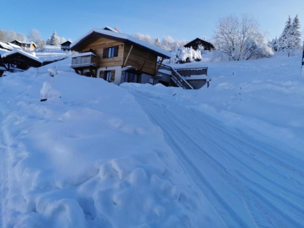 Le chalet du Brabant à 200 mètres des pistes في لابريس: كومة من الثلج أمام المنزل