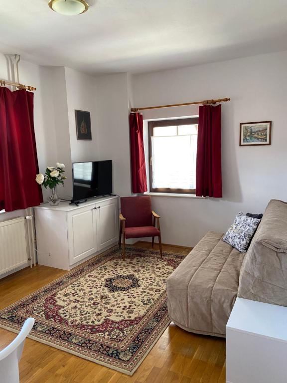TV a/nebo společenská místnost v ubytování Apartments Vidmar near Bled