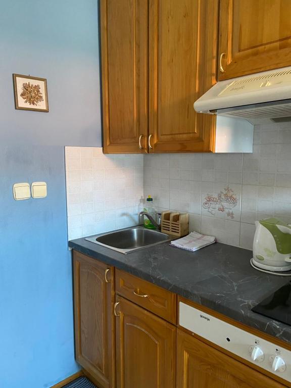 Kuchyň nebo kuchyňský kout v ubytování Apartments Vidmar near Bled