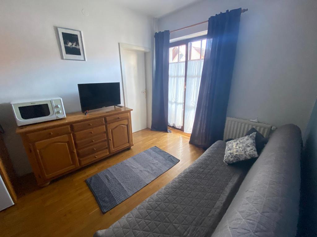 TV a/nebo společenská místnost v ubytování Apartments Vidmar near Bled