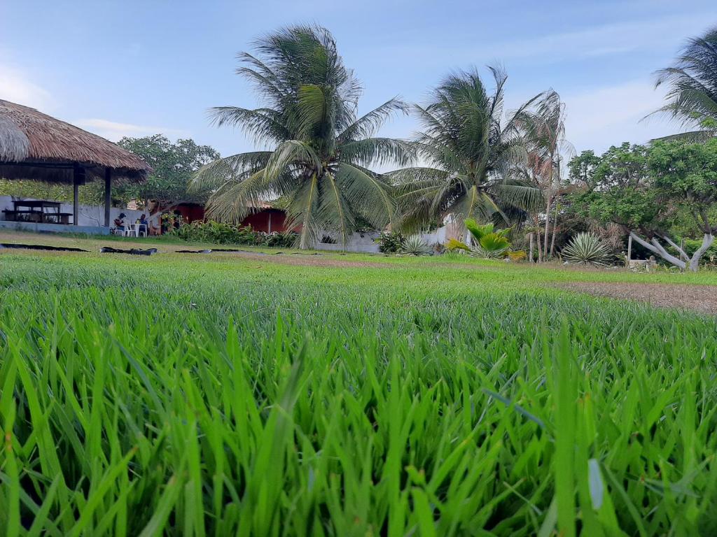  Pousada Praia Bonita em Cedral