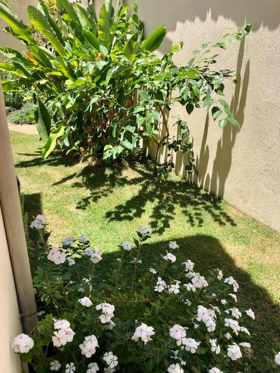  Residencial IL PEVERO