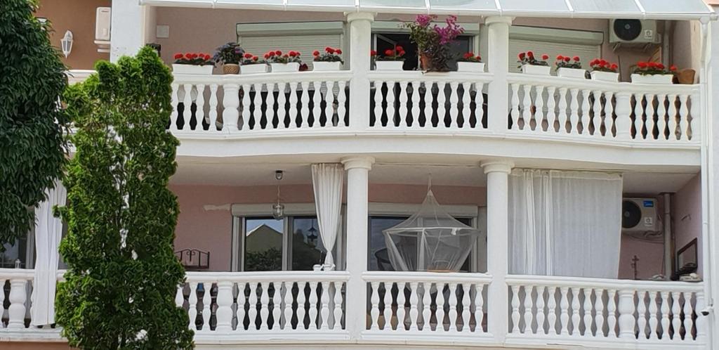Sunny House Apartman Szeged 6724 Szeged, Makkos-Erdő sor 44/A kép - 1