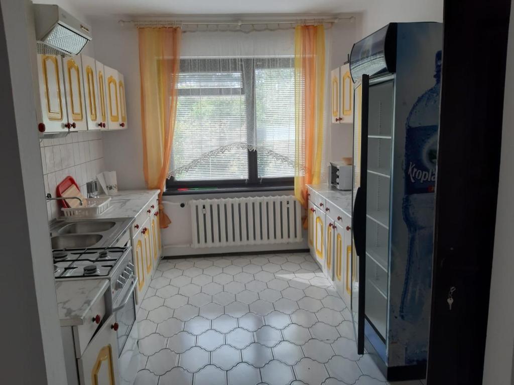 Kuchyňa alebo kuchynka v ubytovaní Forest Villa