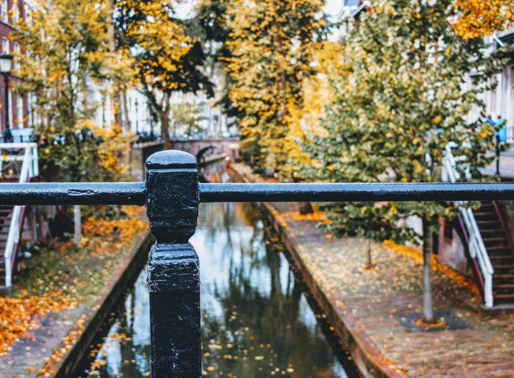 Logement Petit Beijers - Resim 43