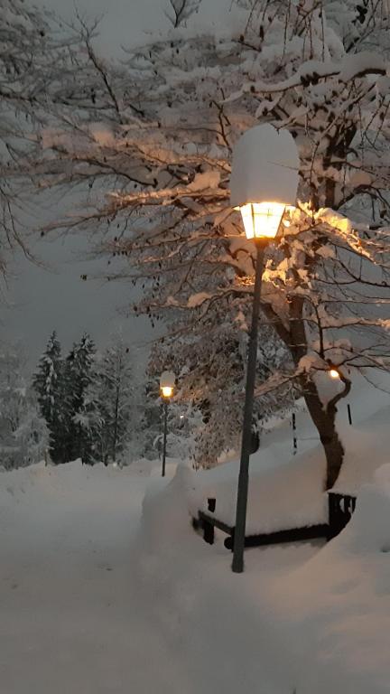Fotografia z galérie ubytovania Casa Gialla v destinácii Lavarone