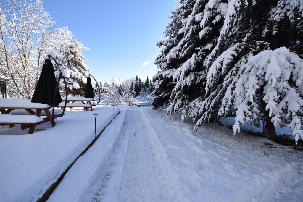 a snow covered path with picnic tables and trees at Oberge Inn Val-David in Val-David