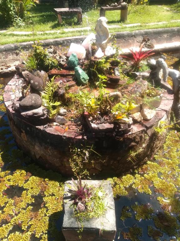 Hostel do Vale Ayurveda