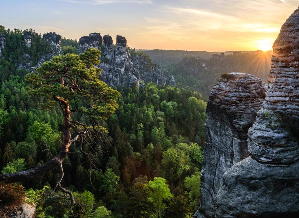 Příroda nedaleko apartmánu
