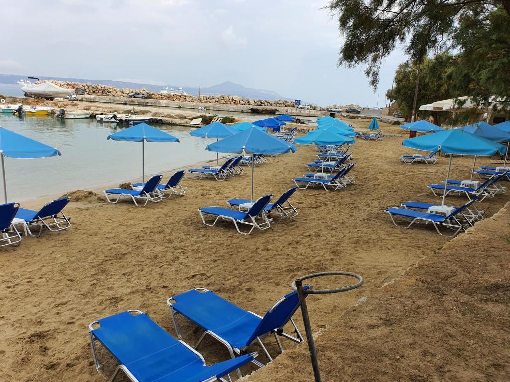 Táj Show holiday homes közelében