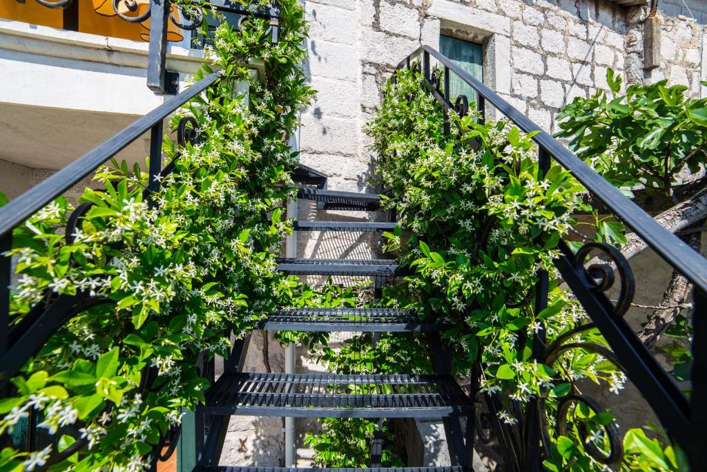Vonkajšia záhrada v ubytovaní Old stone house