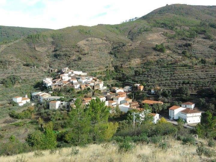 Príroda v okolí of the country house