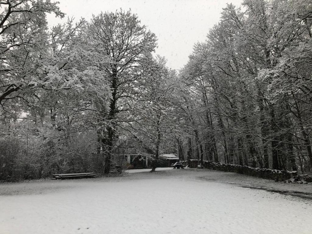 Haus am Wald v zimě