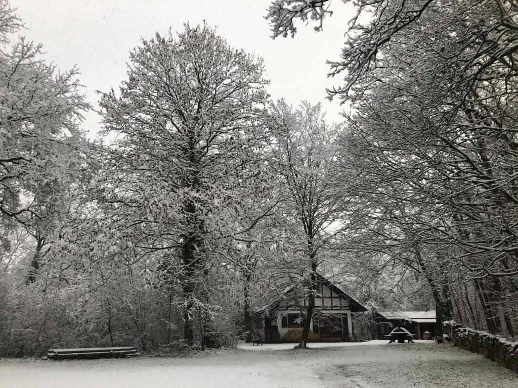 Haus am Wald v zimě