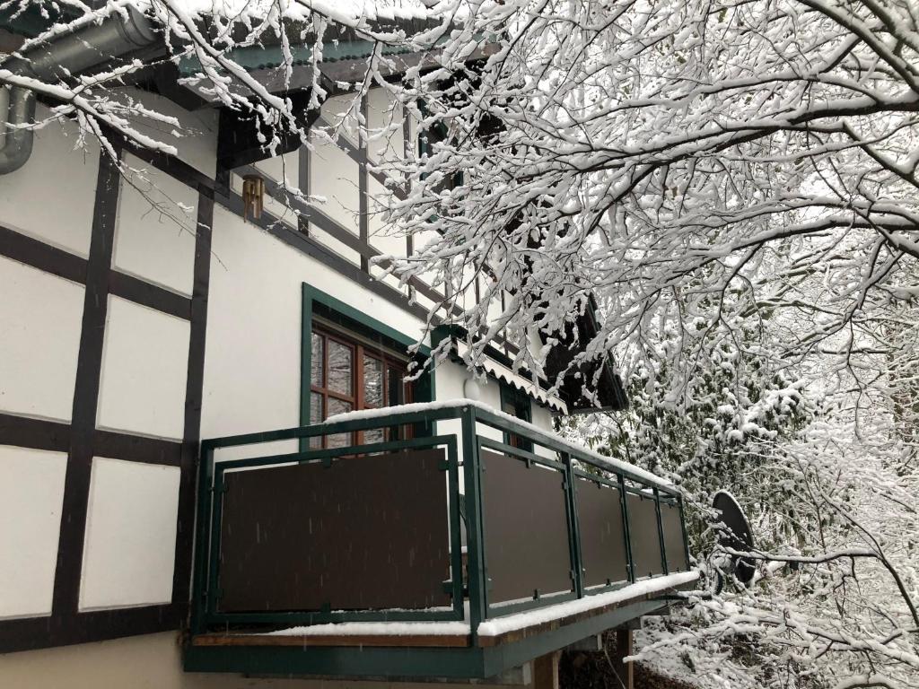 Haus am Wald v zimě