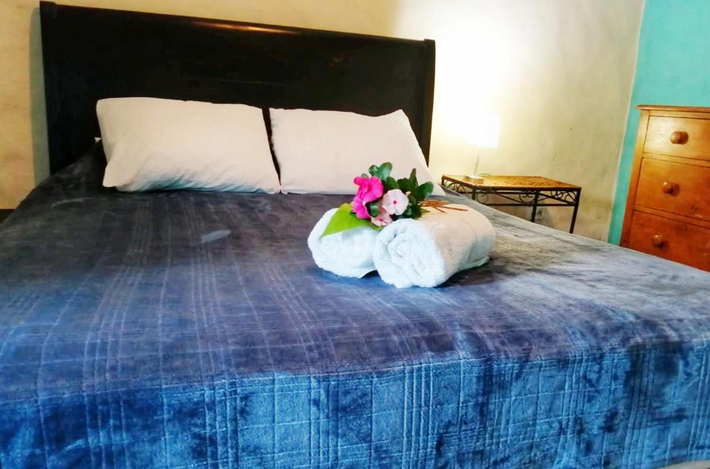 Cama o camas de una habitación en Cerrito Tropical Eco Lodge